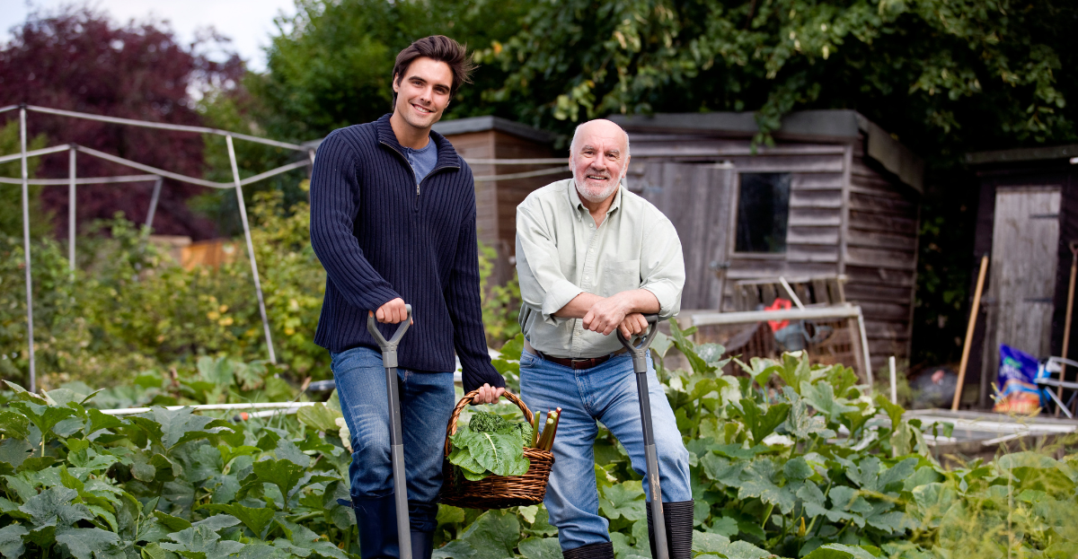 Two men at an allotment